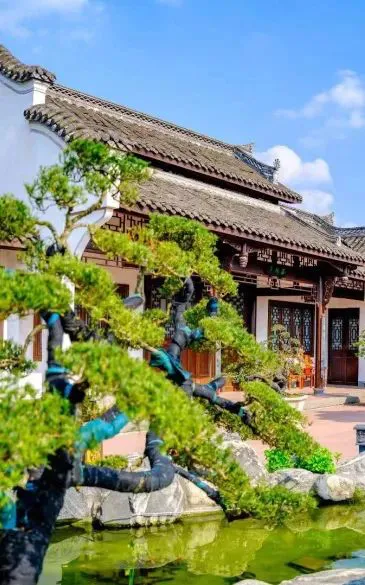 乌鲁木齐篮球训练营招生_0